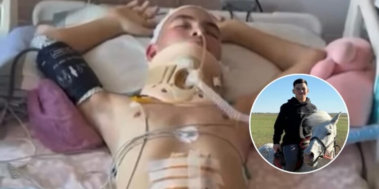 Еще один тяжелый инцидент в конном клубе под Астаной: родители добиваются проверки