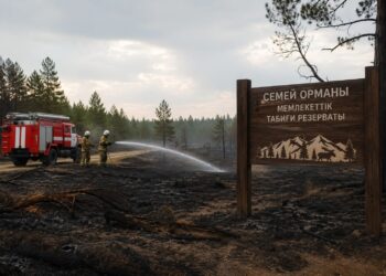 Пожар в резервате «Семей орманы» полностью ликвидирован