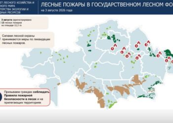 В Казахстане за сутки произошло 13 лесных пожаров