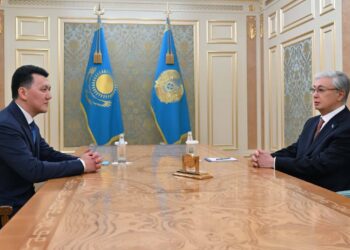 Токаев принял вице-президента Ерлана Карина