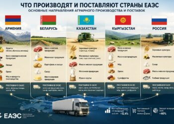 Казахстан оказался среди лидеров аграрного роста ЕАЭС