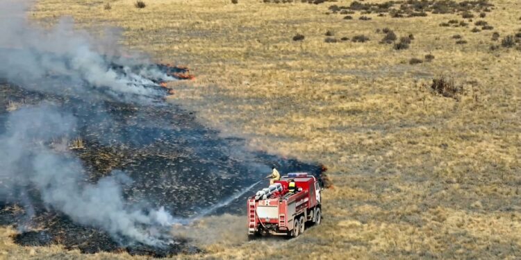 Два возгорания ликвидировали, три локализовали: МЧС озвучило свежие данные по пожарам в Аягозе и области Абай