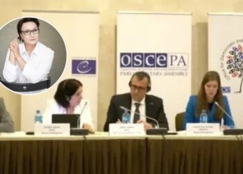 «Такой странной пресс-конференции я еще не видела» — Гульбану Абенова о брифинге БДИПЧ ОБСЕ