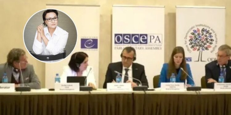 «Такой странной пресс-конференции я еще не видела» — Гульбану Абенова о брифинге БДИПЧ ОБСЕ