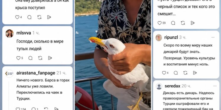 Казахстанских туристов обсуждают из-за пойманной в Турции чайки