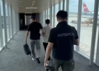 Из Вьетнама в Казахстан экстрадировали мужчину, напавшего с ножом на мать