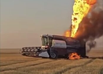 Первый день уборки закончился пожаром на поле в Костанайской области