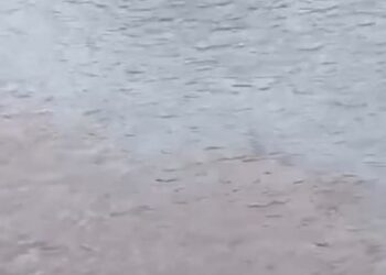 В Алматы заметили тёмный сброс в реку возле Сайрана