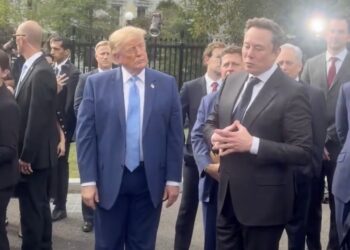 Трамп переименовал ИИ в «суперинтеллект»: Илон Маск заявил, что профессии людей теперь изменятся
