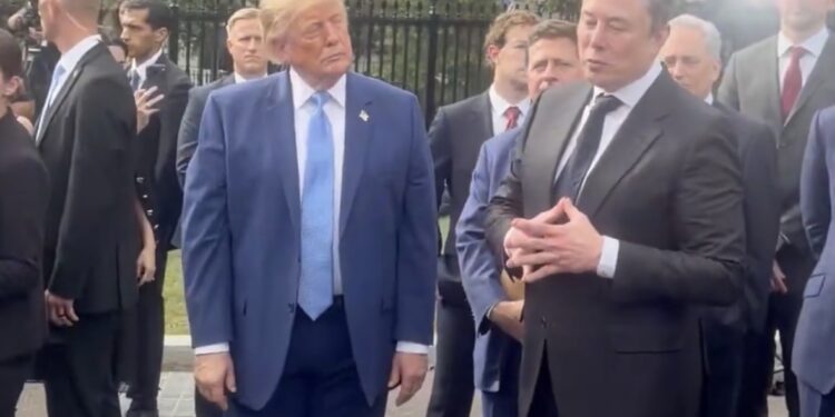 Трамп переименовал ИИ в «суперинтеллект»: Илон Маск заявил, что профессии людей теперь изменятся