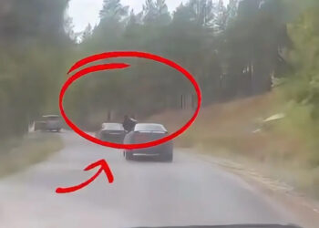 В ВКО наказали водителей и пассажиров после видео с опасной поездкой