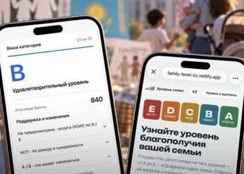 «Лишат пособий или нет?» Казахстанцы уже создали два калькулятора для проверки своей категории