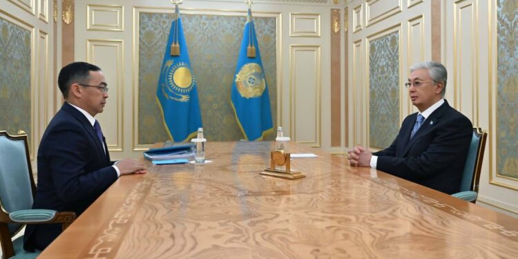 Токаев принял министра культуры и информации Армана Кырыкбаева