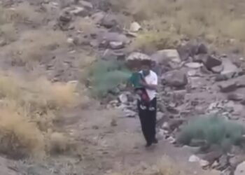 Машинист заметил в степи 4-летнего мальчика и остановил грузовой поезд