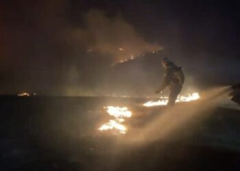 Пожар охватил территорию нацпарка «Тарбагатай» в Абайской области