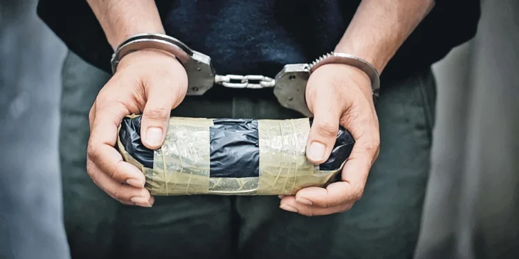 В Талдыкоргане у 32-летнего мужчины изъяли 6,5 кг гашиша