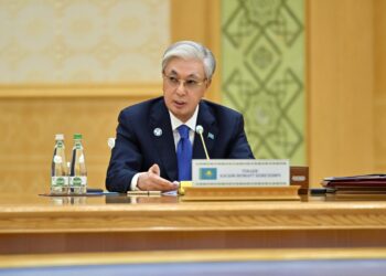 Токаев обсудил досрочное прекращение полномочий маслихатов всех уровней