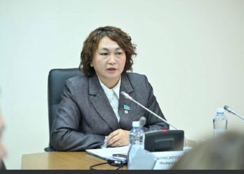 Заводы под угрозой закрытия из-за расширения границ сел: депутат от «Ак жол» обратилась к правительству