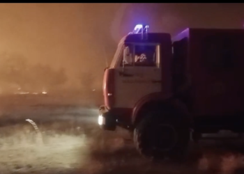 В области Абай больше 100 человек продолжают тушить пожар в камышовых зарослях