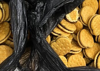 Печенье с каннабисом и почти 12 кг наркотиков: в Астане накрыли наркошоп «Пепе»