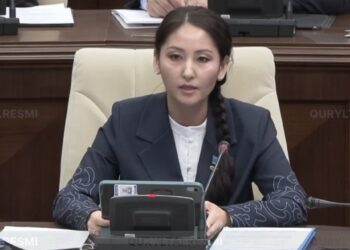 «Электронная зона защиты»: экс-прокурор Аймаганова предложила новый механизм против домашнего насилия