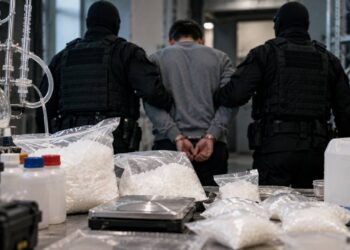 Мефедрон, подпольные лаборатории и две смерти: организатора наркогруппы экстрадировали из России в Казахстан