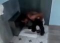 Пациент пил воду из унитаза: в психоневрологическом центре ЗКО разгорелся скандал